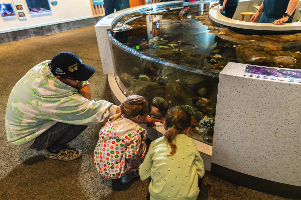 Screenshot 2025 07 11 at 11 52 28 AM